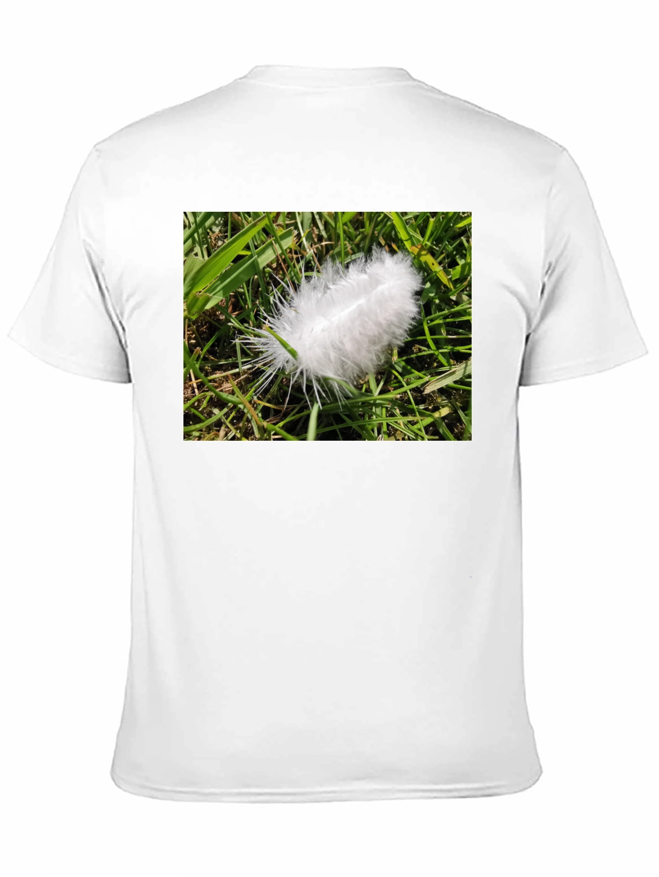 Feather on Grass Graphic Tee