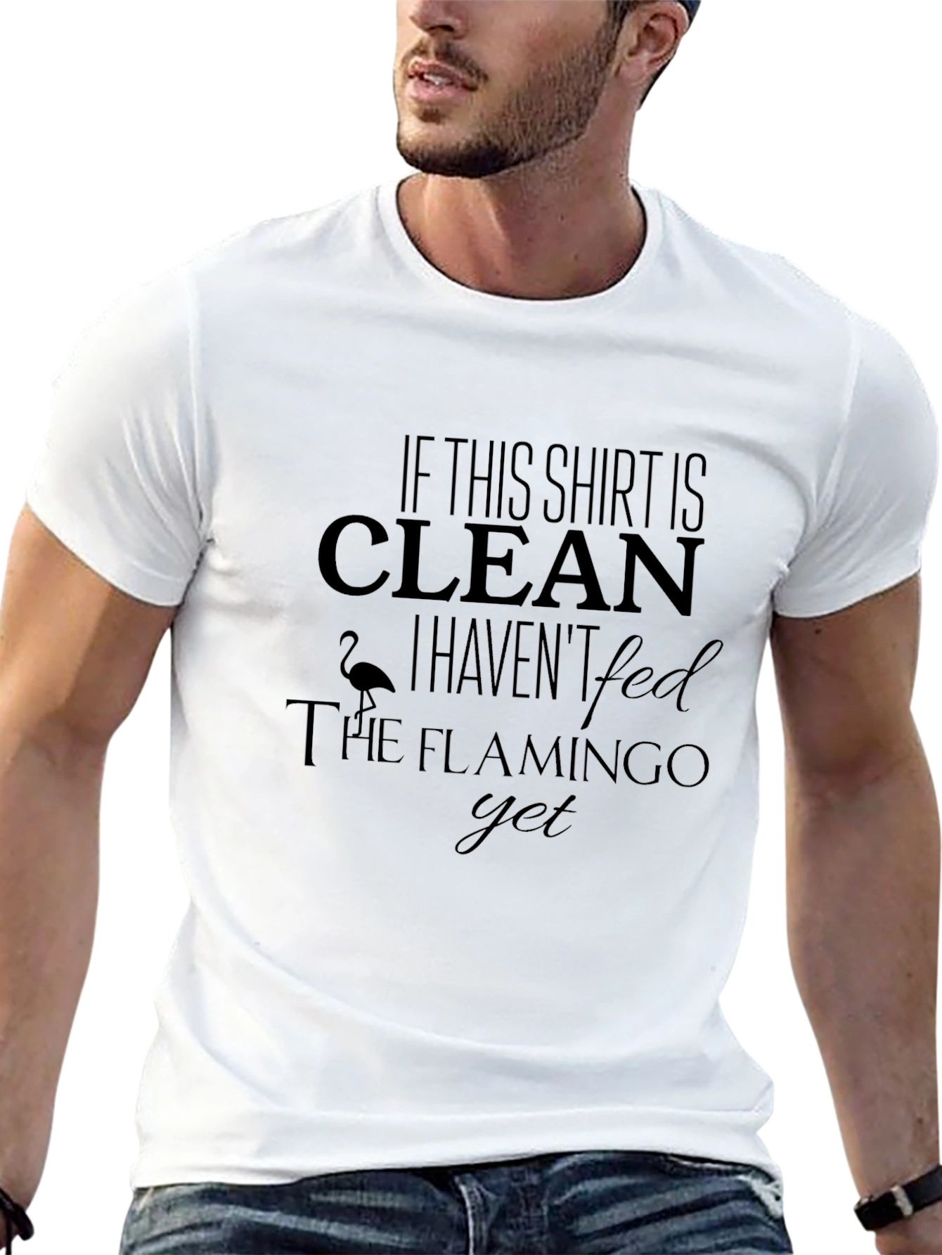 Funny Flamingo T-Shirt - If This Shirt Is Clean!