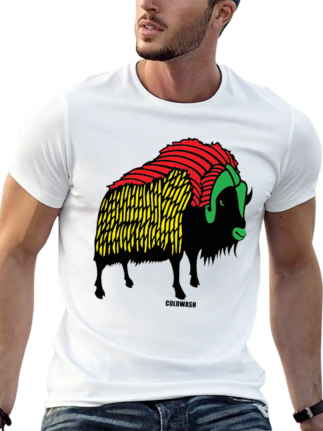Rasta Buffalo Graphic Tee - Coolwash