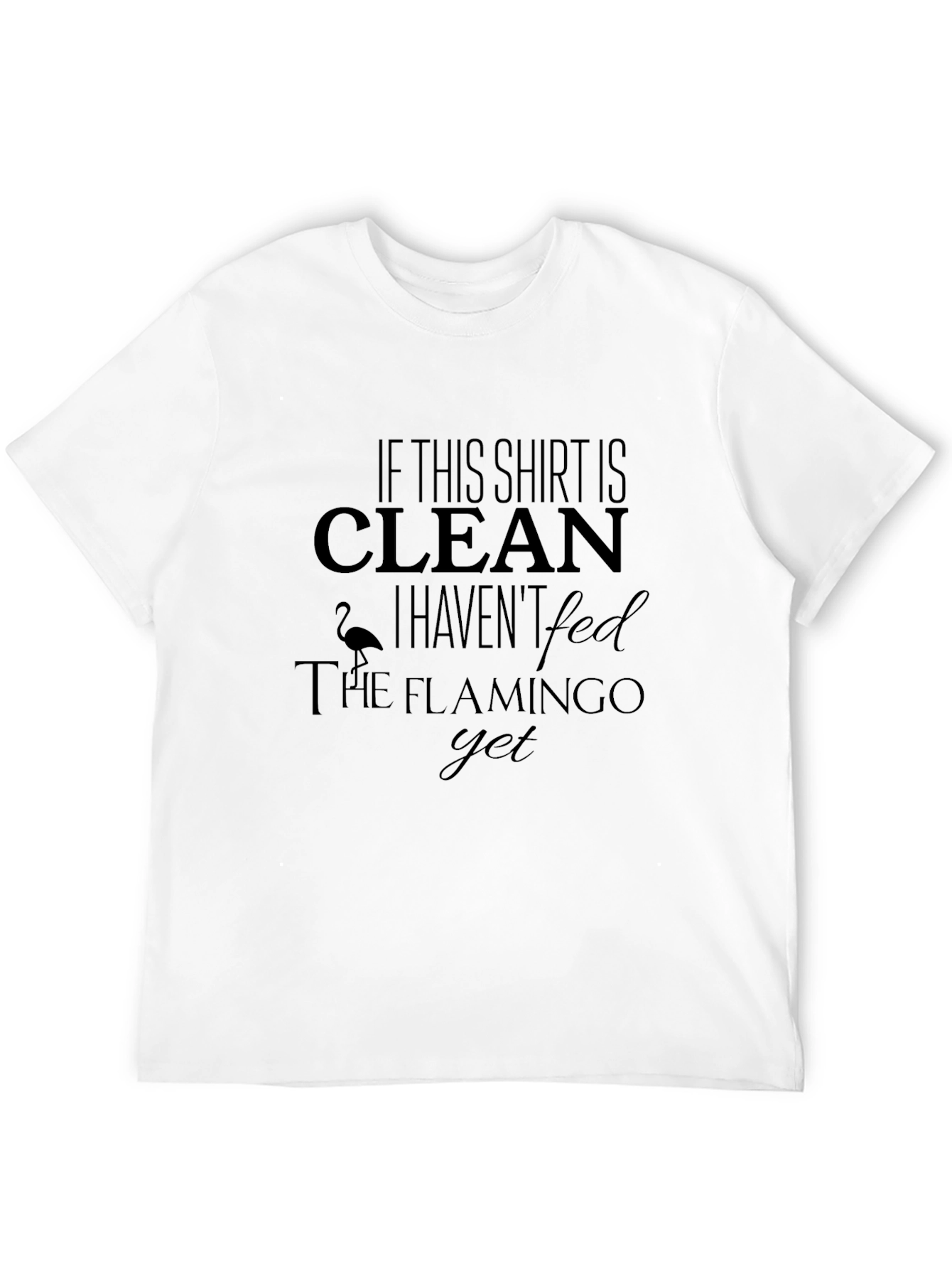 Funny Flamingo T-Shirt - If This Shirt Is Clean!