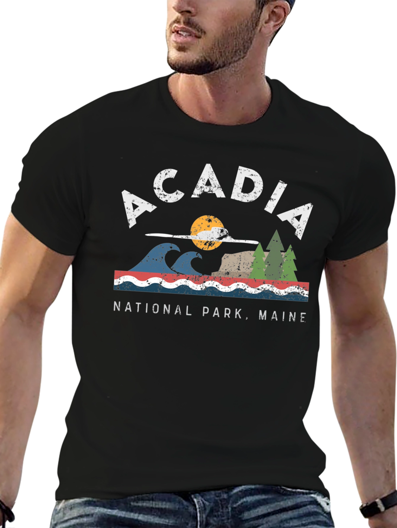 Acadia National Park Maine Graphic Tee
