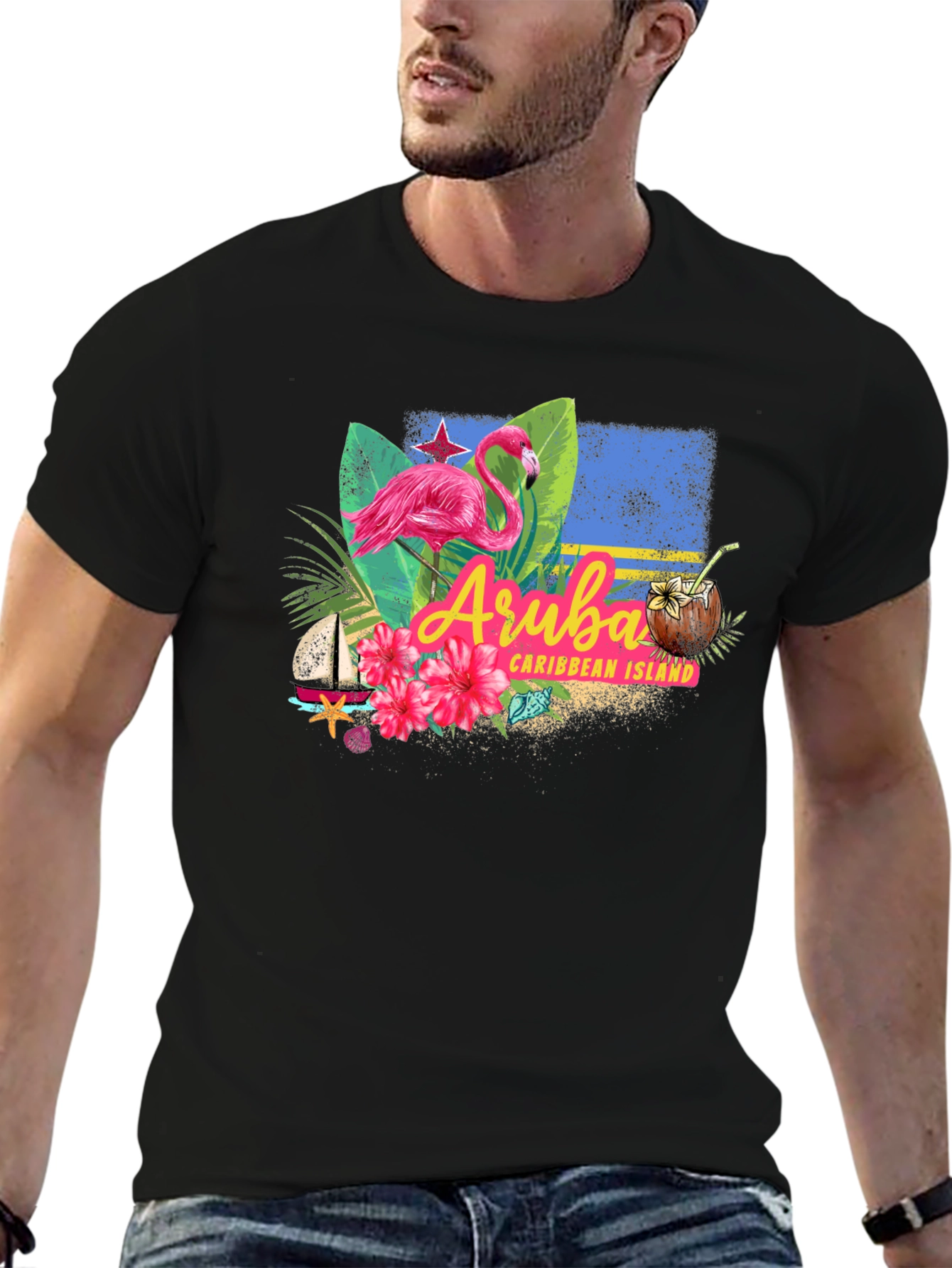 Aruba Caribbean Island Flamingo Black T-Shirt
