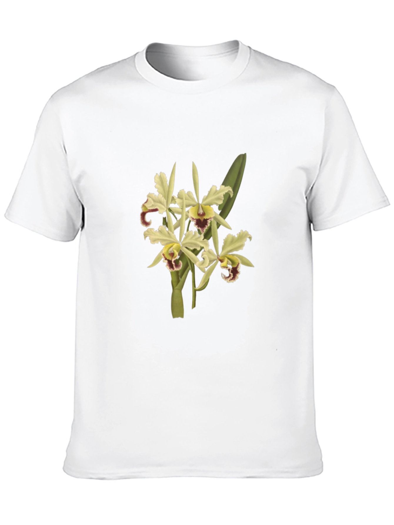 Floral Print Crew Neck T-Shirt