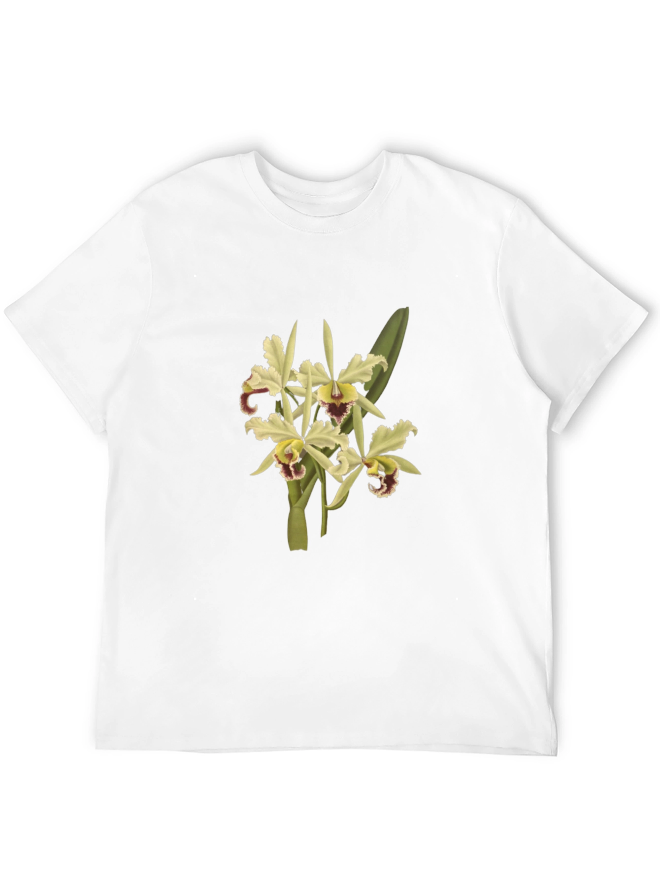 Floral Print Crew Neck T-Shirt
