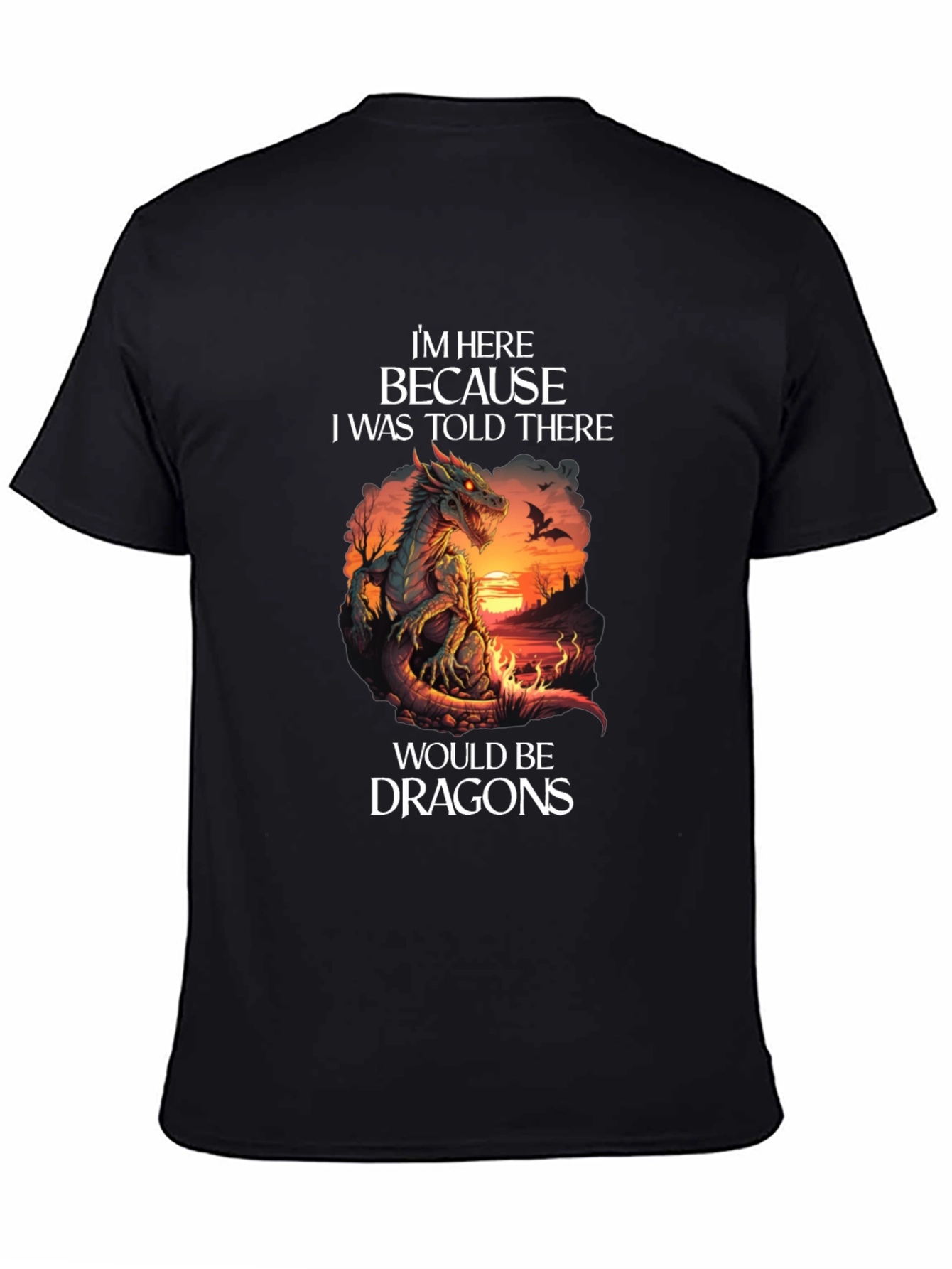 Dragon Graphic T-Shirt - Im Here Because Dragons