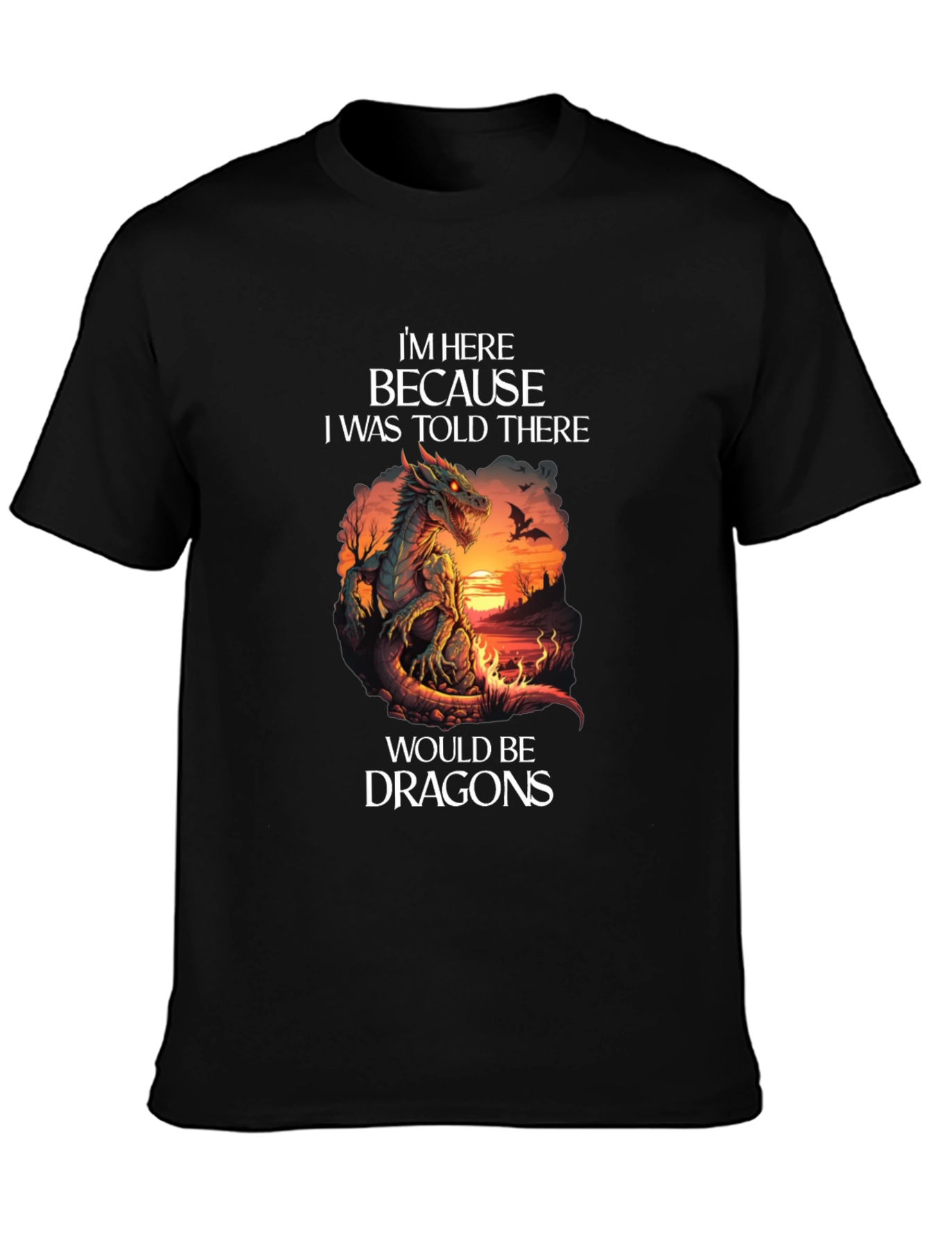 Dragon Graphic T-Shirt - Im Here Because Dragons