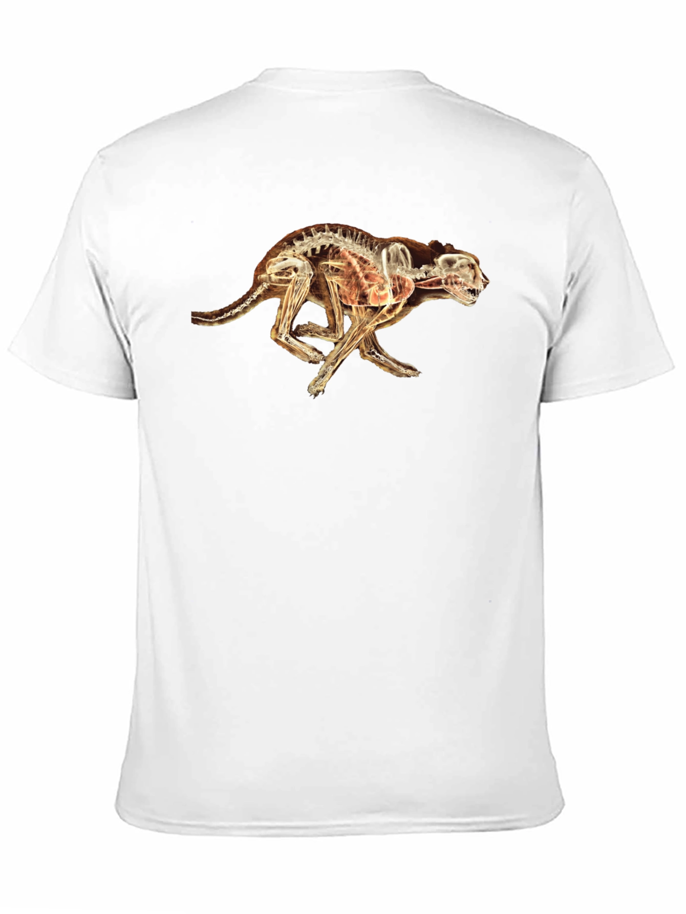 X-Ray Cheetah Graphic Black T-Shirt