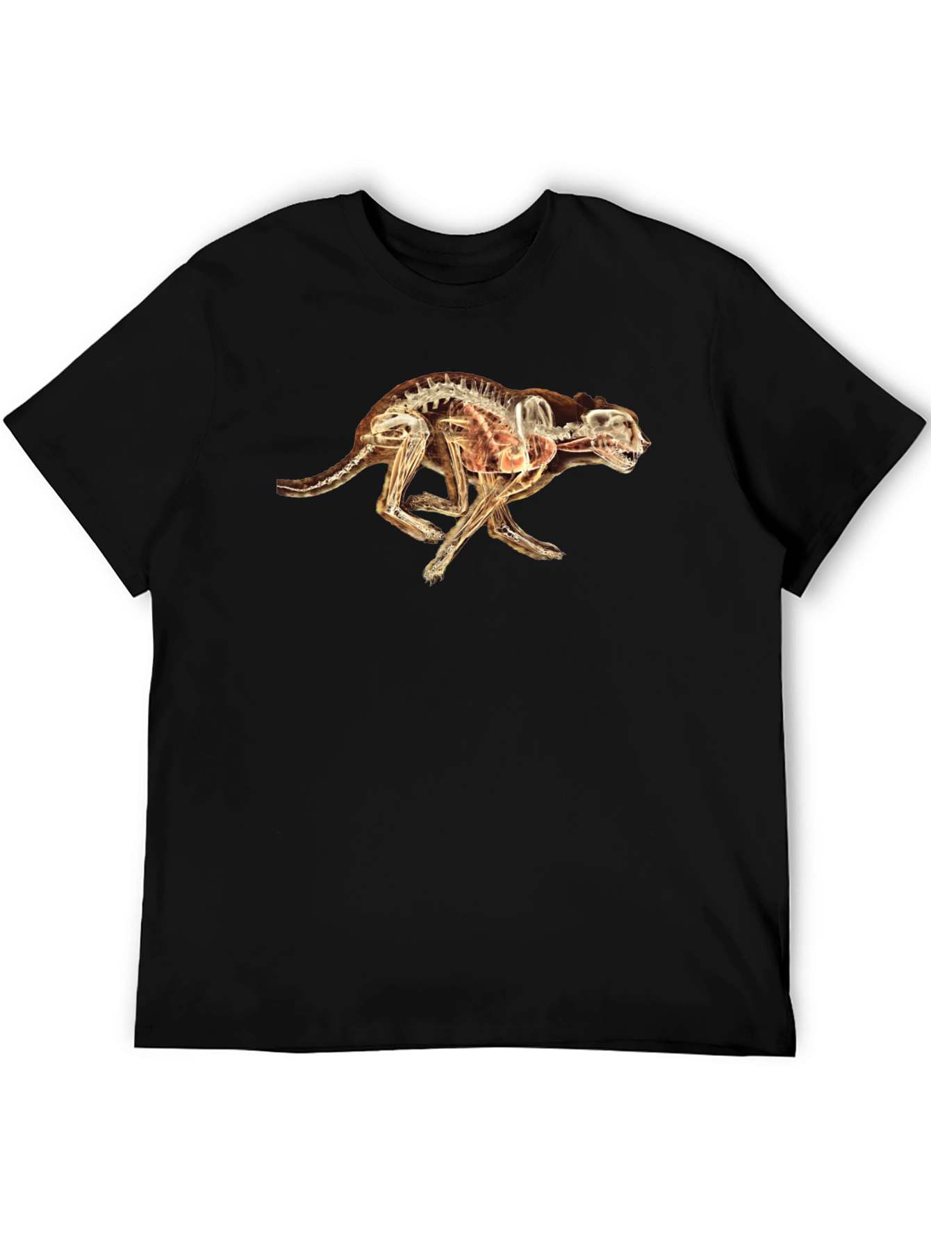 X-Ray Cheetah Graphic Black T-Shirt