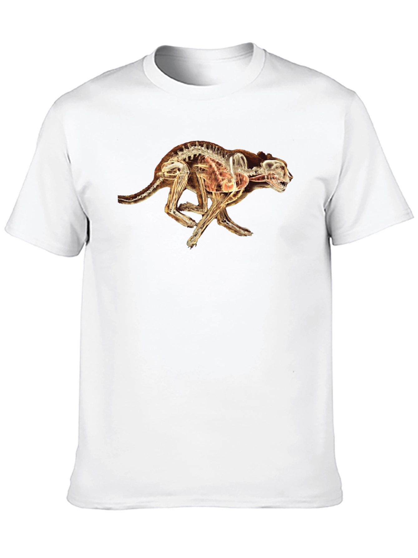 X-Ray Cheetah Graphic Black T-Shirt