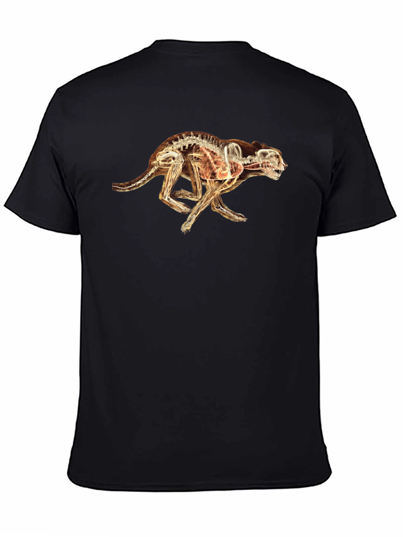 X-Ray Cheetah Graphic Black T-Shirt