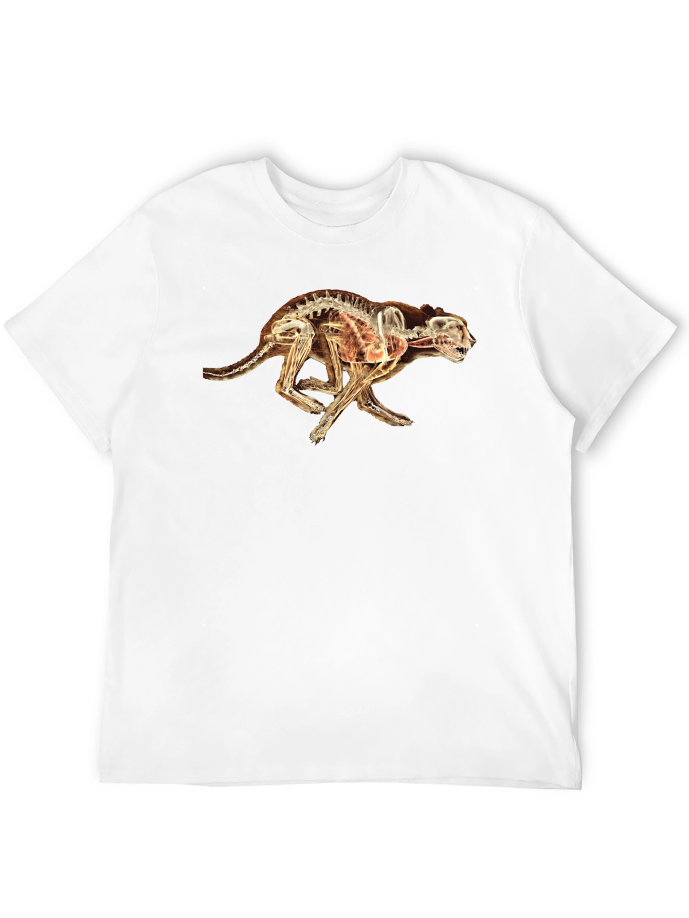 X-Ray Cheetah Graphic Black T-Shirt