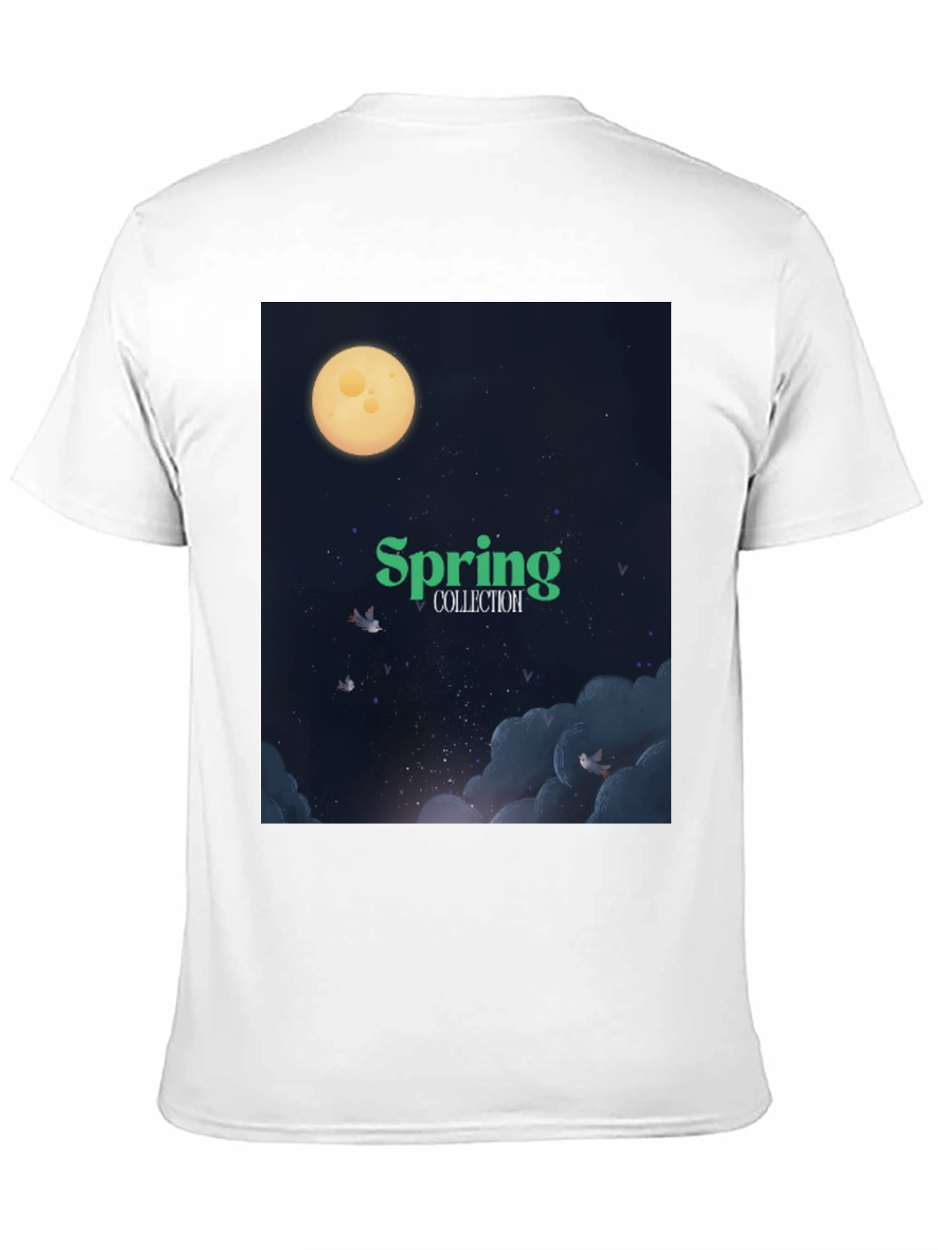Spring Collection Graphic T-Shirt