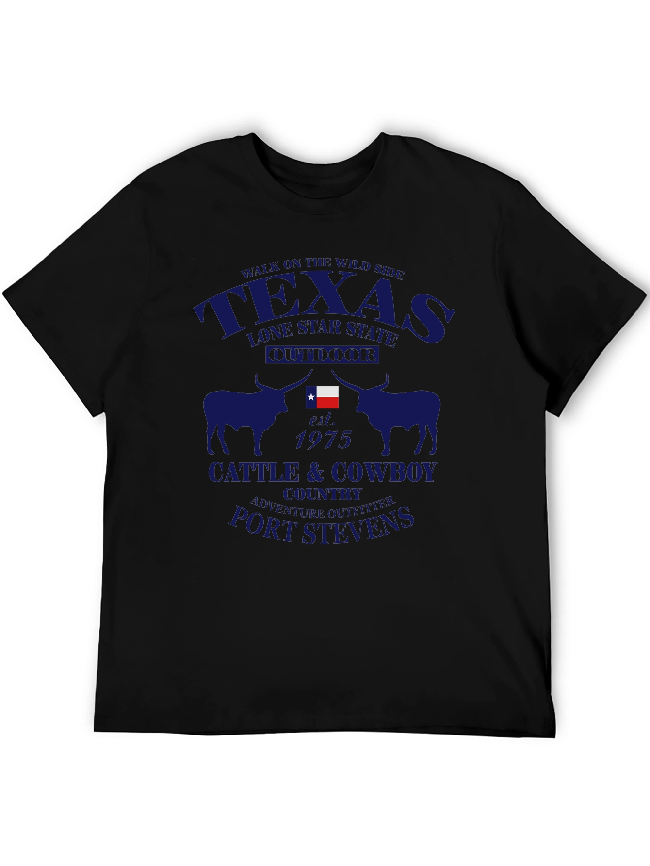 Texas Lone Star State T-Shirt