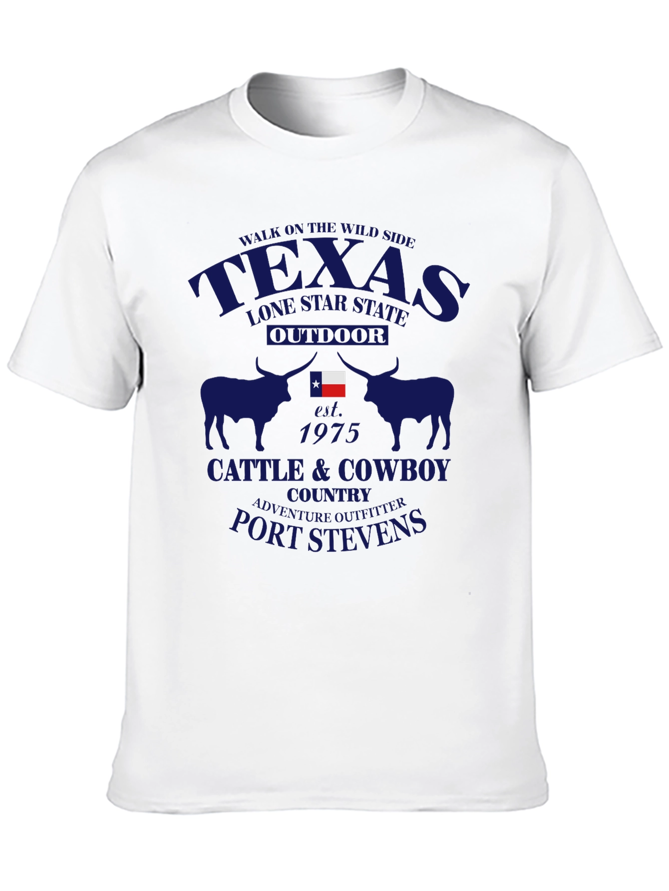 Texas Lone Star State T-Shirt