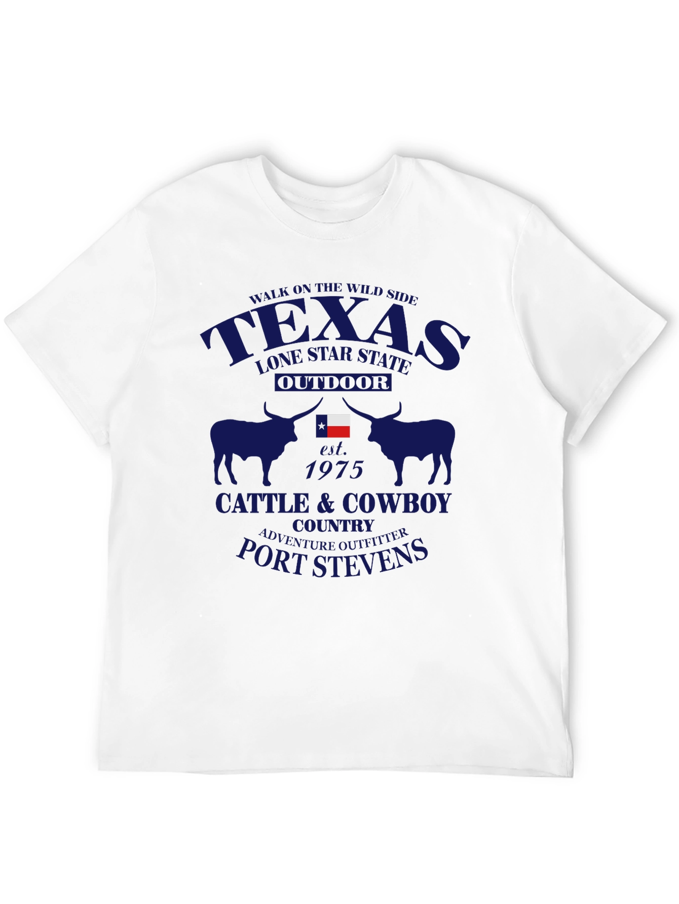Texas Lone Star State T-Shirt
