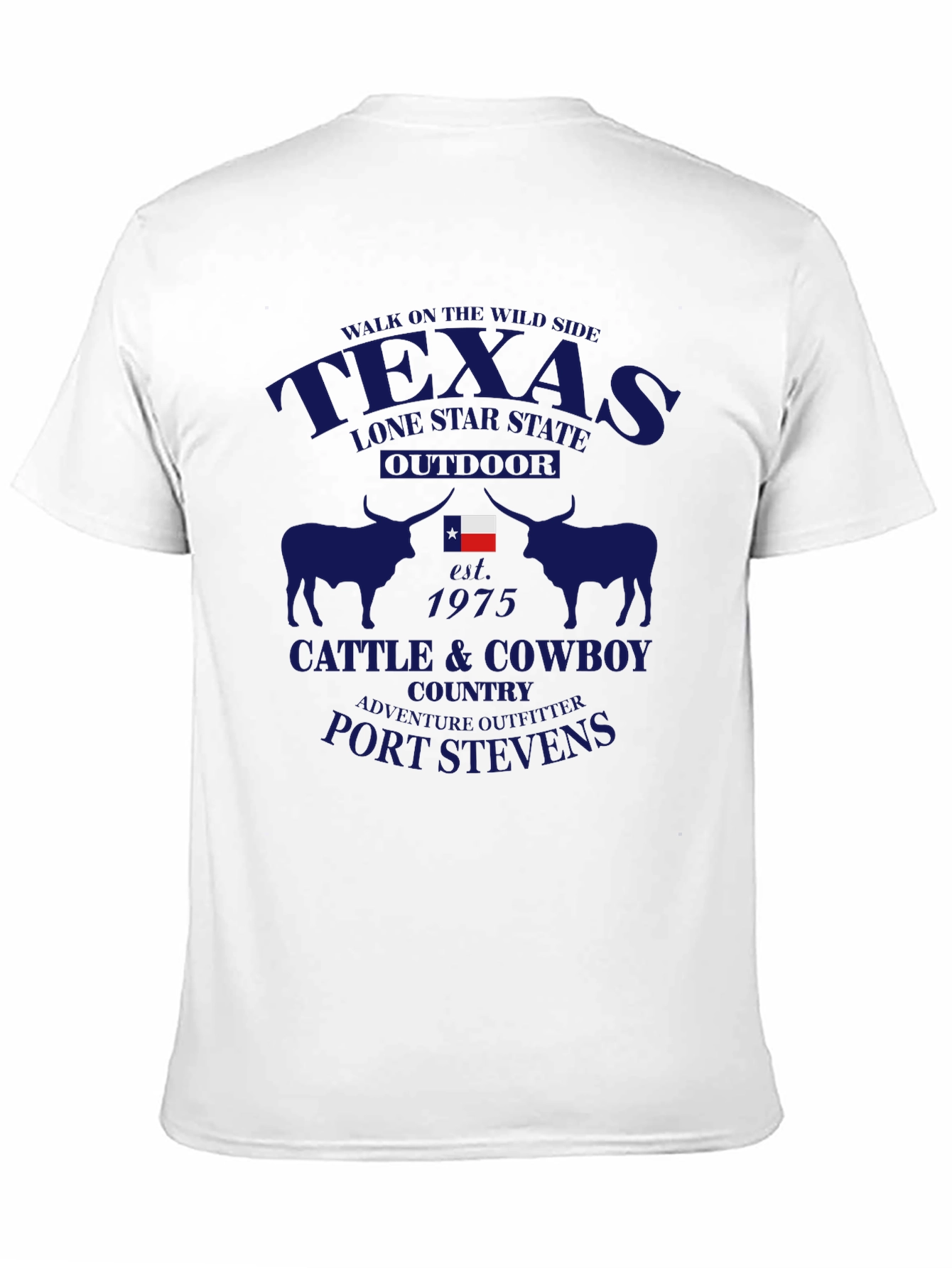 Texas Lone Star State T-Shirt
