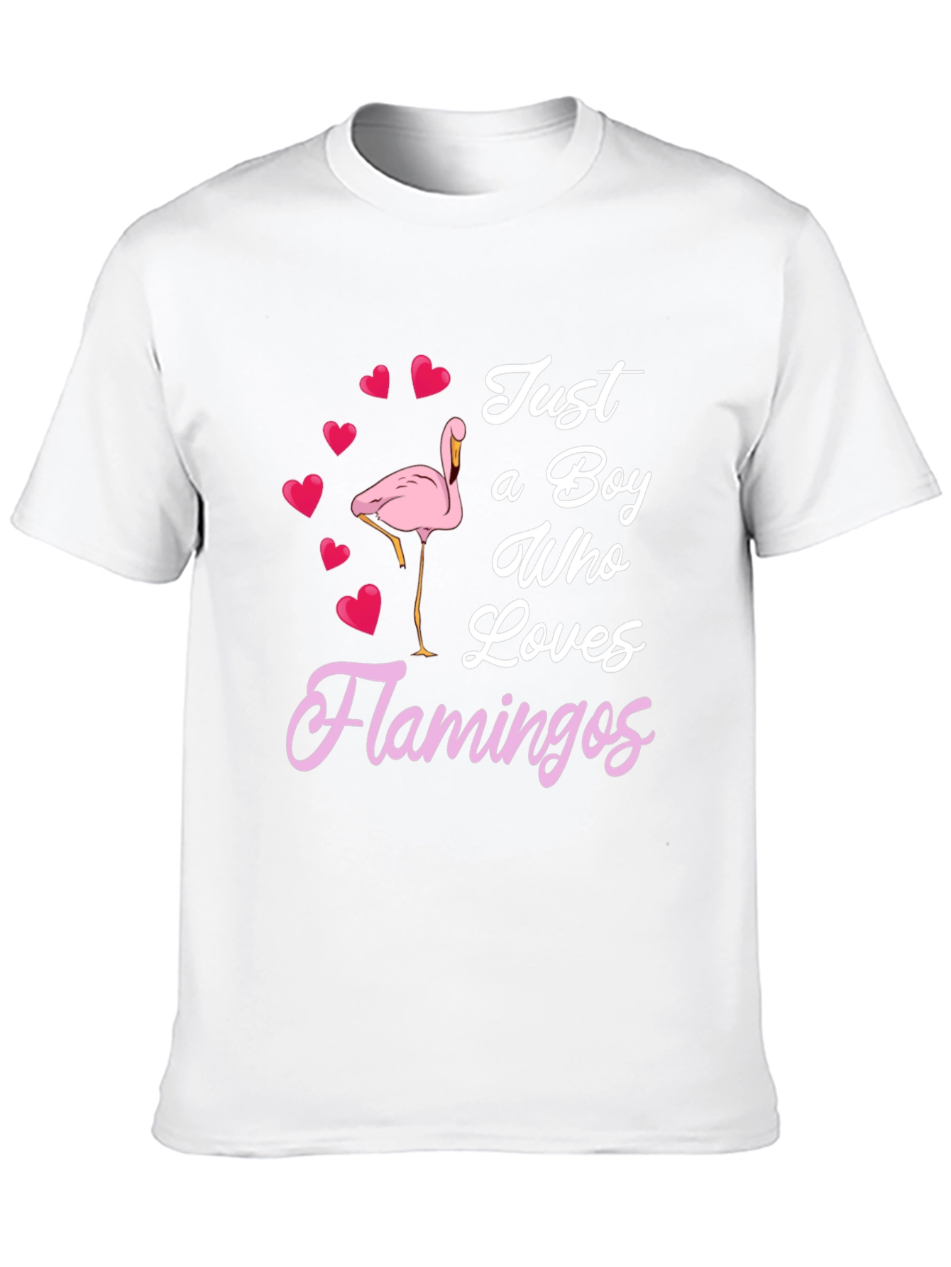 Boy Who Loves Flamingos T-Shirt